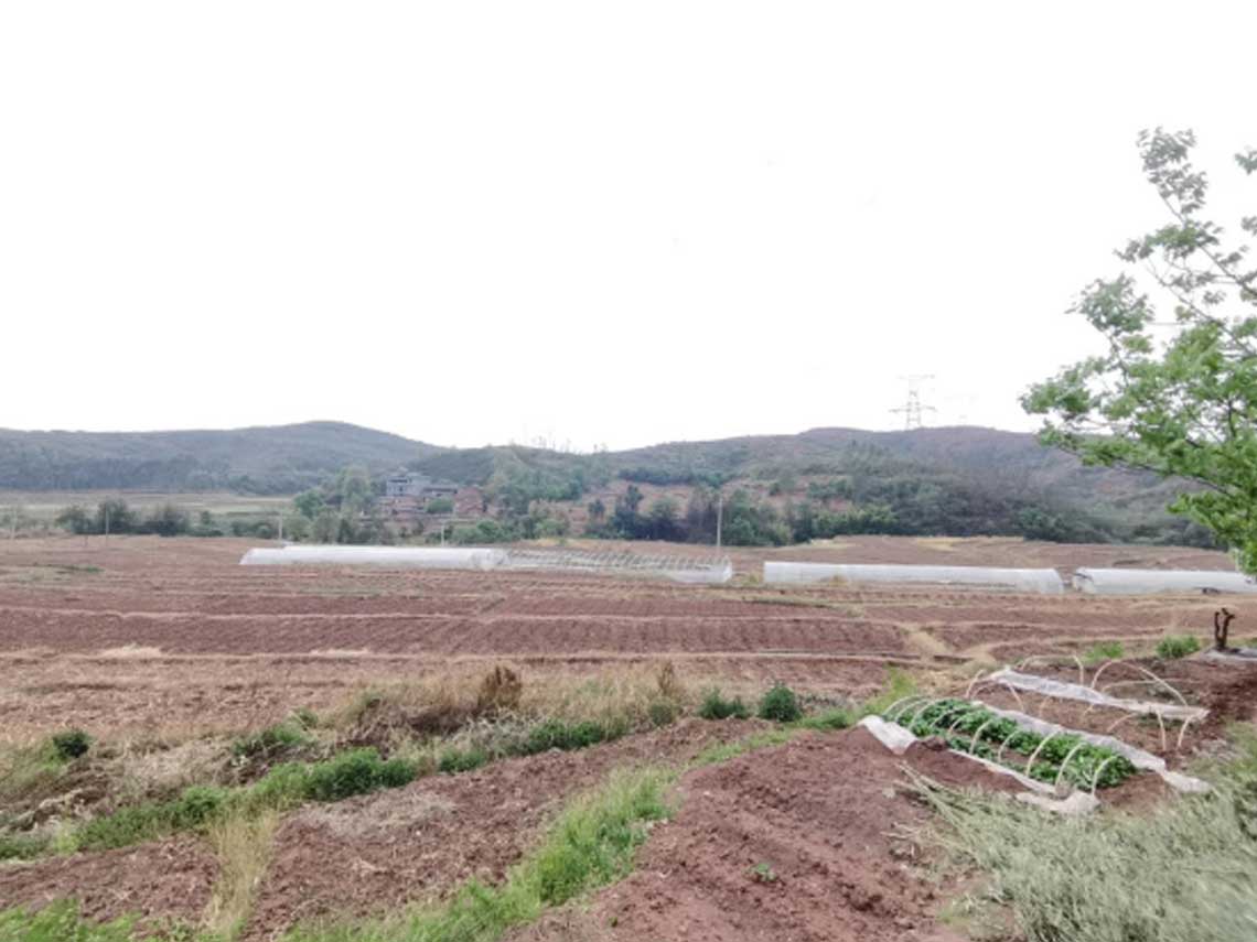 20240411641168 楚雄工地2